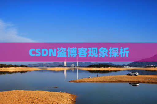 CSDN盗博客现象探析